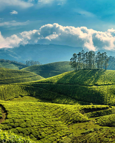 MUNNAR